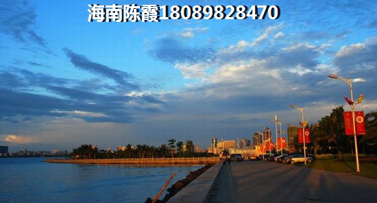 四建美林苑属于哪个街道