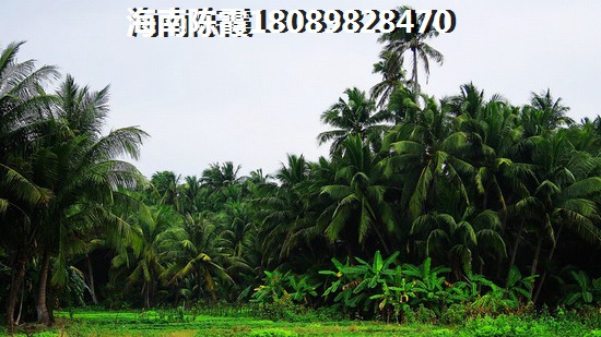 城投瑞马·国风适合老人长期居住吗？