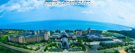 东城摩尔 一居  户型图