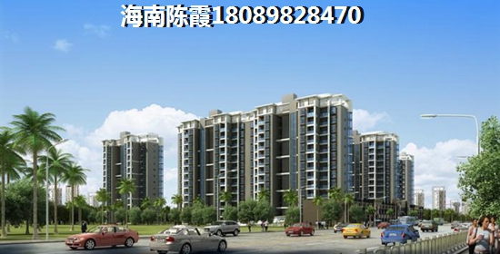 海那城 四居  户型图