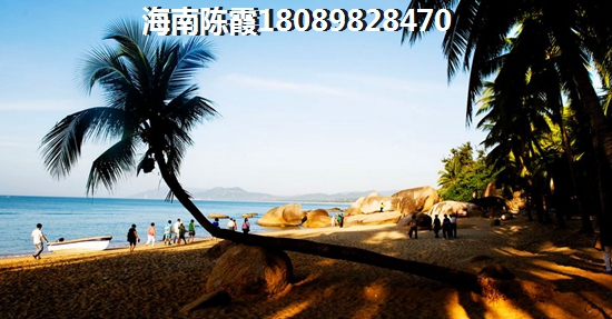 凯旋新城 三居  户型图