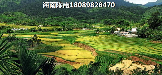 发祥1号公馆 建筑规划 